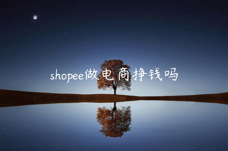 shopee做電商掙錢嗎